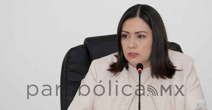 En riesgo de ser anuladas elecciones en cuatro municipios: IEE