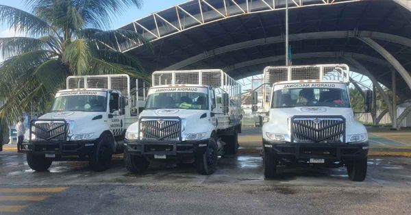 Estima Gobierno que Beryl toque tierra como categor&iacute;a 1