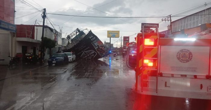 Cayó un espectacular,  6 árboles y autos varados, saldo de lluvia de este martes