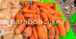 Hallan parásitos a la jirafa Benito por mala alimentación; deberán tratarlos antes de su traslado a Africam