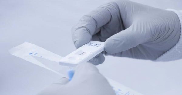 Concentran seis municipios 70% de casos de dengue: Salud