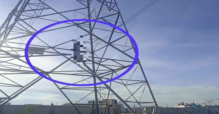 Encuentran a un hombre suspendido de una cuerda en torre de alta tensión