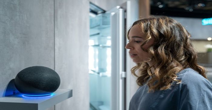 Te contamos cuáles fueron las preguntas más populares a Alexa en 2024