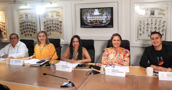 Exhortará Congreso a que municipios destinen espacios para &quot;nenis&quot;