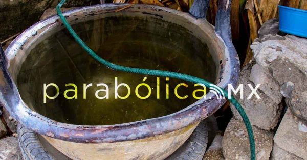 Reporta Salud presencia del dengue en 45 municipios poblanos