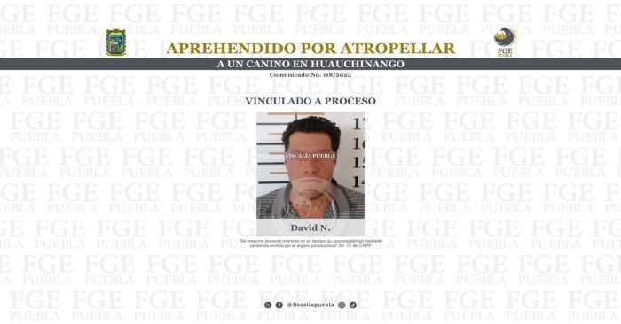 Vinculan a proceso a David N. por el delito de crueldad animal
