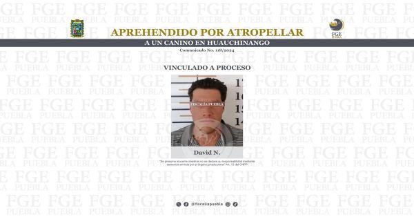 Vinculan a proceso a David N. por el delito de crueldad animal