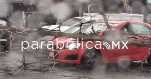 Se registra caída de árboles y calles inundadas por lluvias en la capital poblana