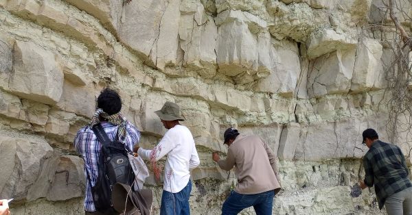 Estudian en la BUAP el origen, la evolución y extinción de la flora y fauna de México