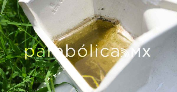 Concentran Iz&uacute;car, Chietla, Huaquechula, Acteopan y Ajalpan dengue en Puebla: Salud