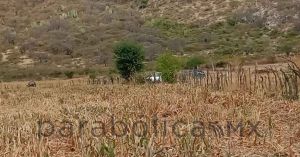 Encuentran dos cadáveres en terrenos de cultivo en Izúcar de Matamoros