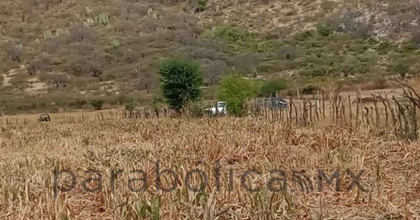 Encuentran dos cadáveres en terrenos de cultivo en Izúcar de Matamoros
