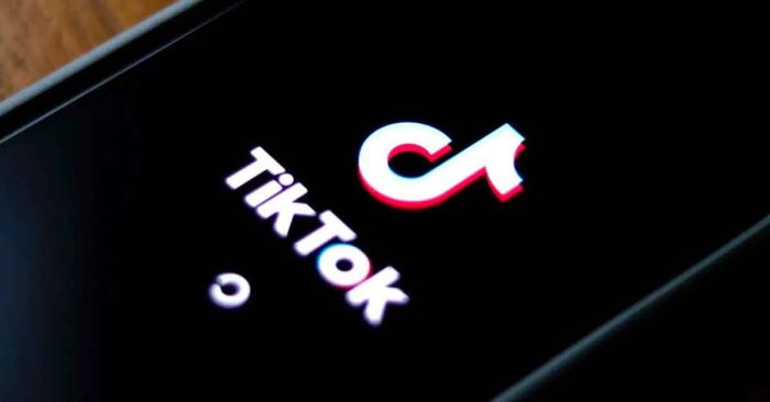 Identificar&aacute; TikTok videos e im&aacute;genes creadas con IA
