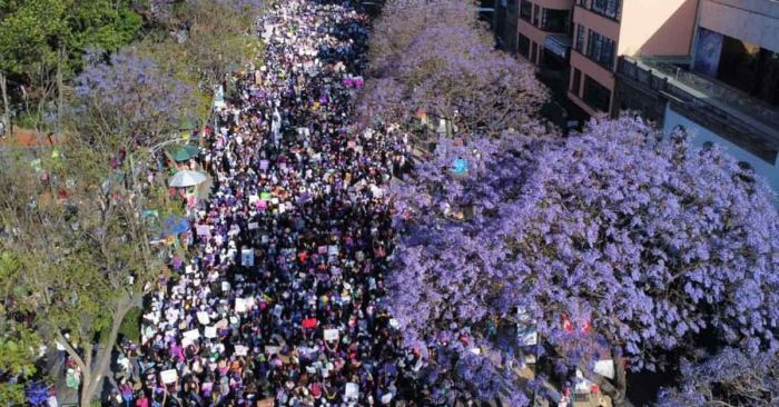 Afirma AMLO que en marcha del 8M &ldquo;se portaron muy bien&rdquo;