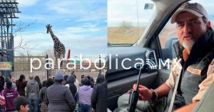 Benito cruza Durango; viaja tranquilo: Africam Safari