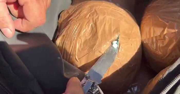 Detienen a sujeto que transportaba pastillas de fentanilo y cristal en maletas