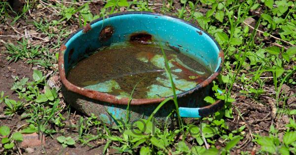Se suma Tehuacán a municipios con más casos de dengue