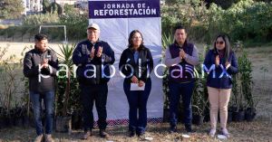 Distribuye Lupita Cuautle árboles en San Andrés Cholula para reforestación y cuidado