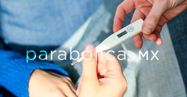 Acumula Puebla 658 casos de dengue en lo que va del a&ntilde;o: Salud