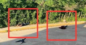 Balacera en Chietla deja un muerto y un herido