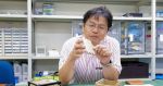 Logran Japón y la Nasa enviar al espacio el primer satélite de madera