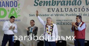 Congruencia inteligente frente a AMLO    