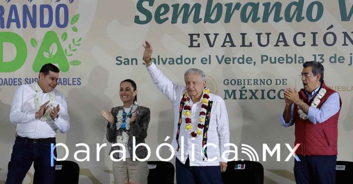 Congruencia inteligente frente a AMLO    
