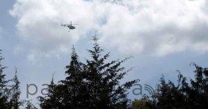Van siete denuncias por incendios forestales; hay detenidos