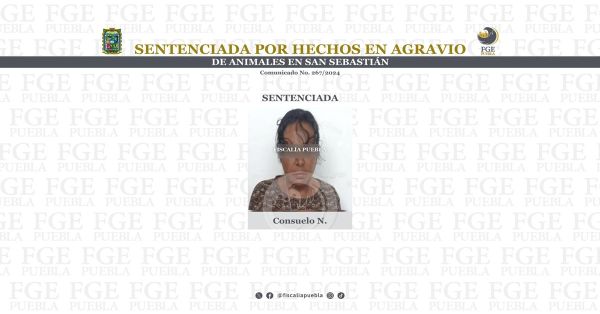 Detienen a una mujer en Bosques de San Sebastián, almacenaba gatos y perros en su refrigerador