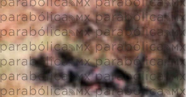 Hallan a calcinada en la Puebla-M&eacute;xico