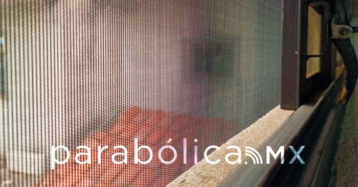 Reporta Puebla nueve personas hospitalizadas por dengue: Salud