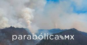 Combaten brigadas estatales incendio en Tetela