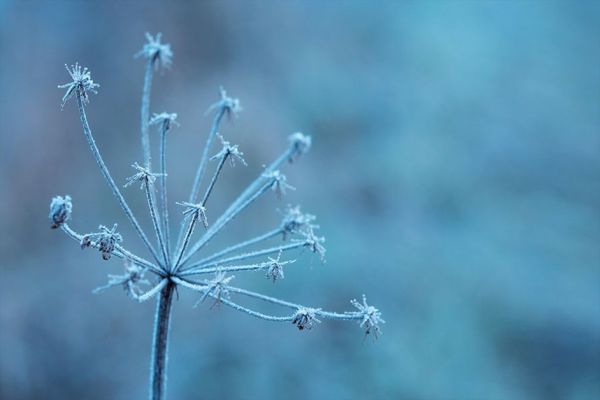 Pronostican lluvias y bajas temperaturas para Puebla esta semana