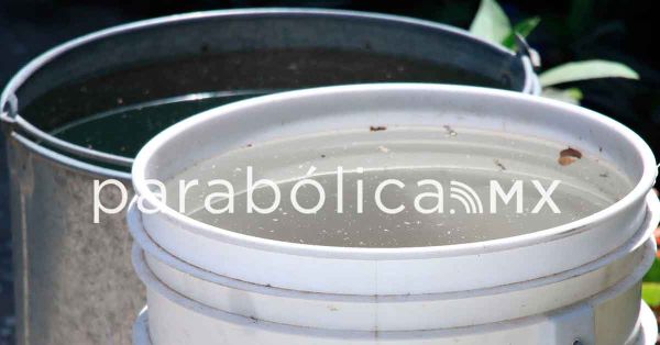 Reporta Salud ocho nuevos casos de dengue en las &uacute;ltimas 24 horas