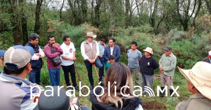 Impulsará Armenta la industrialización del Cáñamo
