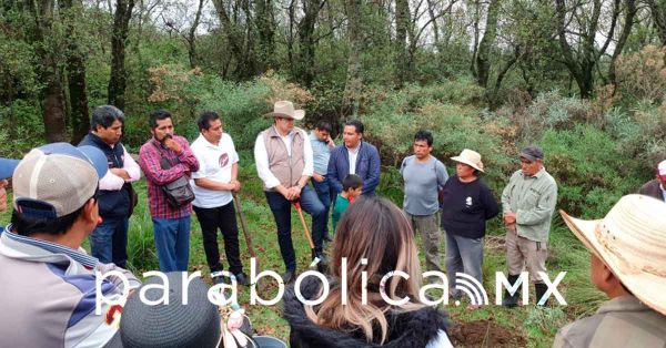 Impulsará Armenta la industrialización del Cáñamo