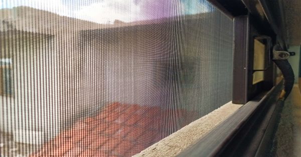 Disminuyen los casos de dengue en Puebla: Salud