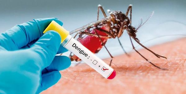 Reporta Puebla 40 contagios por dengue en últimas 24 horas: Salud