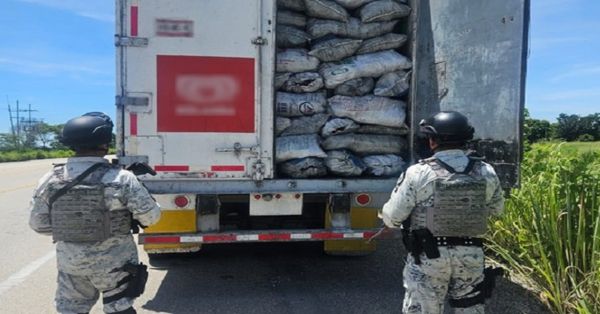 Aseguran más de 21 toneladas de carbón vegetal enviada a Puebla