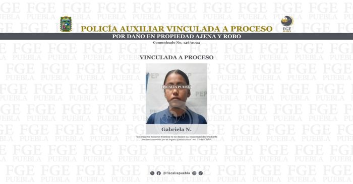 Detienen a Gabriela N. presunta responsable de los delitos de da&ntilde;o en propiedad ajena y robo