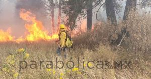 Sofocan incendios forestales en Tlahuapan y Lafragua