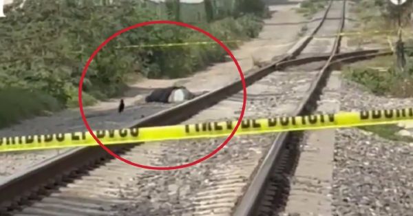 Asesinan a un hombre junto a las v&iacute;as del ferrocarril en Xochimehuac&aacute;n