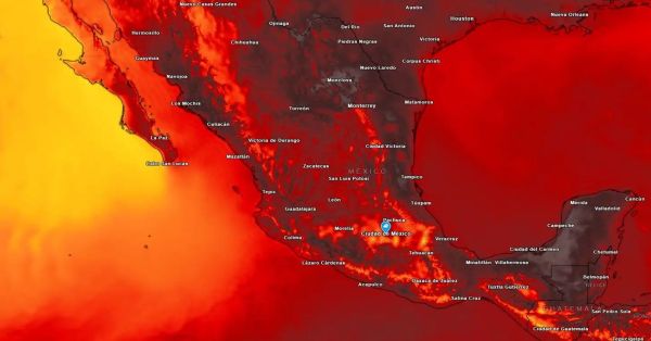 Alertan por el domo de calor en México: dañan a personas, monos y más animales