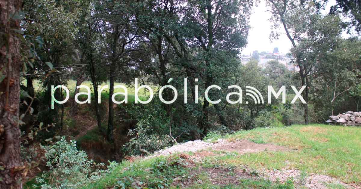 Canibal 02