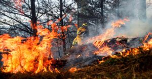 Pide la CONAFOR a la población civil a no combatir incendios forestales