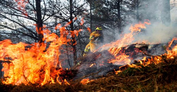 Pide la CONAFOR a la población civil a no combatir incendios forestales