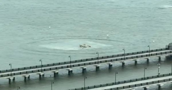 Reportan desplome de un helicóptero en Río Hudson en Nueva York