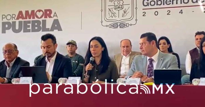 Anuncia Medio Ambiente un programa de reforestación en el Estado