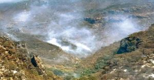 Arrasa incendio con  más de 4 mil hectáreas