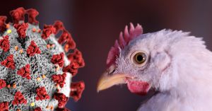 Mutación de la influenza aviar la acerca al entorno humano